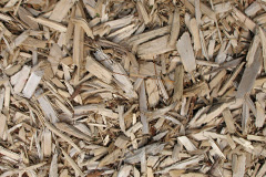 biomass boilers Shere